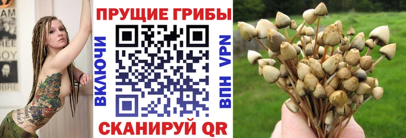 Галлюциногенные грибы ЛСД  хочу наркоту  Новый Оскол 